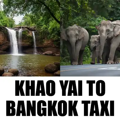 khao yai to bangkok taxi