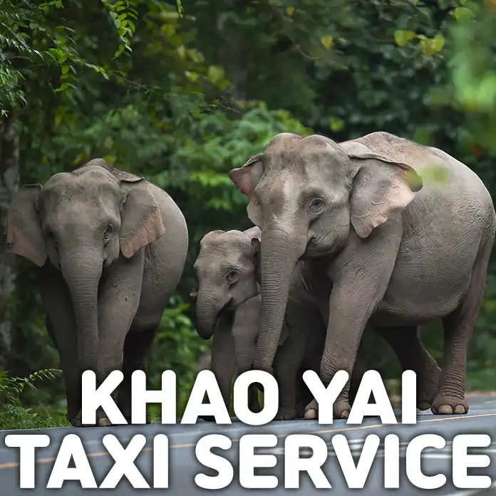 Khao Yai Taxi